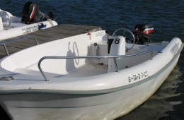 Estable Boot mit 15 PS Motor