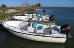 Estable Boot mit 40/60 PS Motor