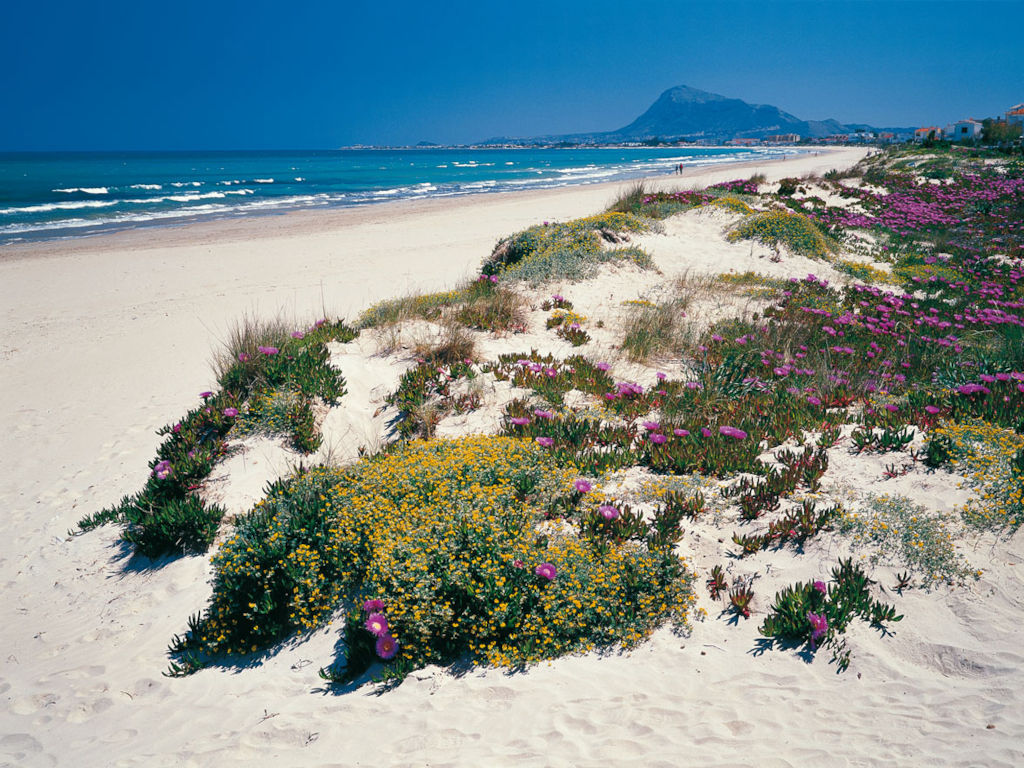Urlaub mit der Familie in Dénia dem Tor zur Costa Blanca