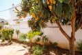 Bungalow mit Pool an der Costa del Sol