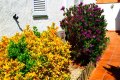 Ferienhaus Ampuriabrava Spanien mieten