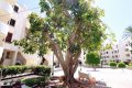 Spanien Costa Blanca Ferienwohnung am Strand
