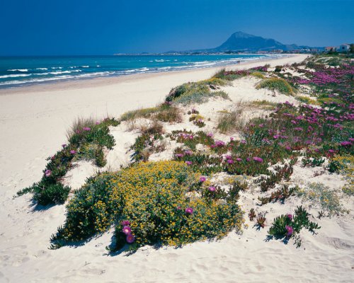 Ferien in Dénia Costa Blanca Spanien